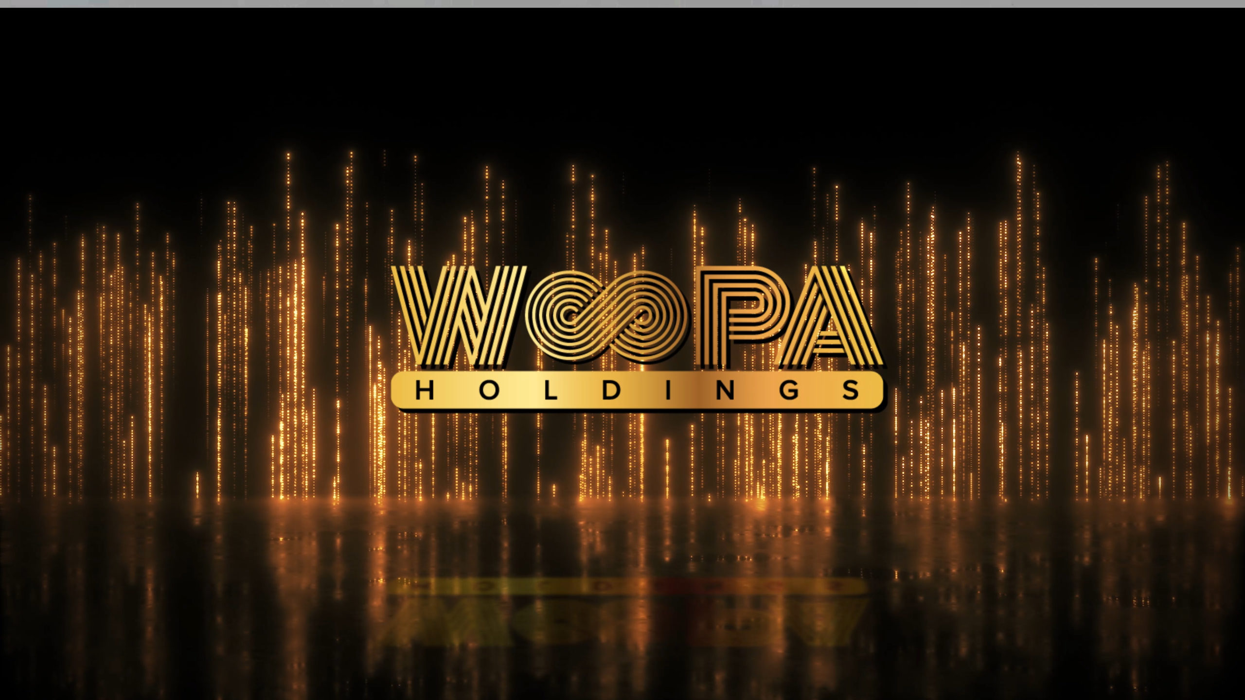 וופה הולדינגס woopa holdings